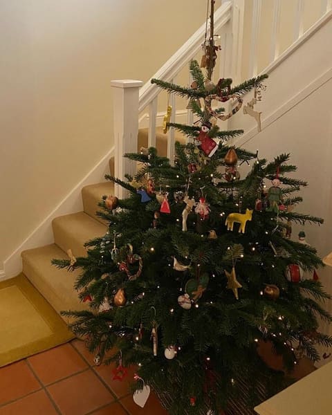 A decorated Nordmann Fir Christmas tree in a hallway at home