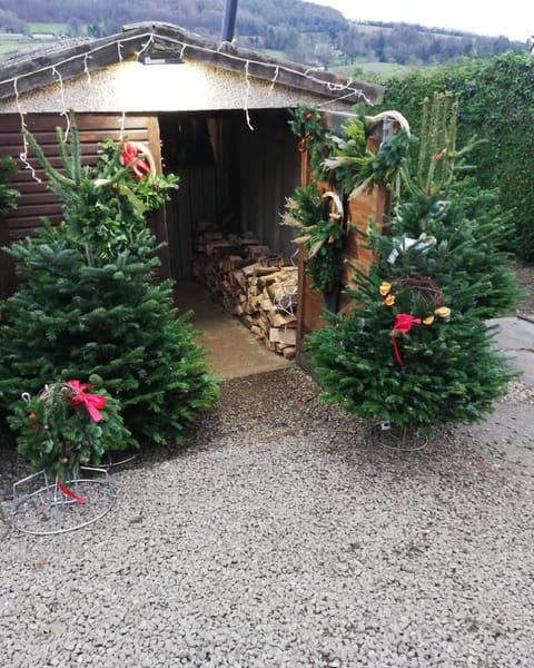 Decorated Christmas trees and wreaths outside the Pitchcombe Fresh hut, with firewood inside