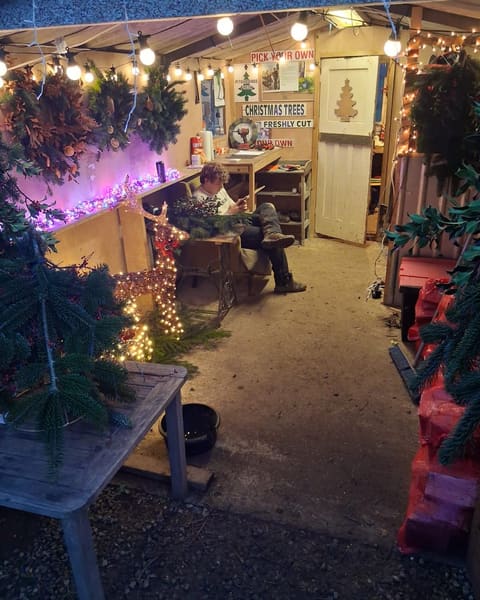 Inside the Pitchcombe Fresh hut, lit up with fairy lights, wreaths and the Pick Your Own sign