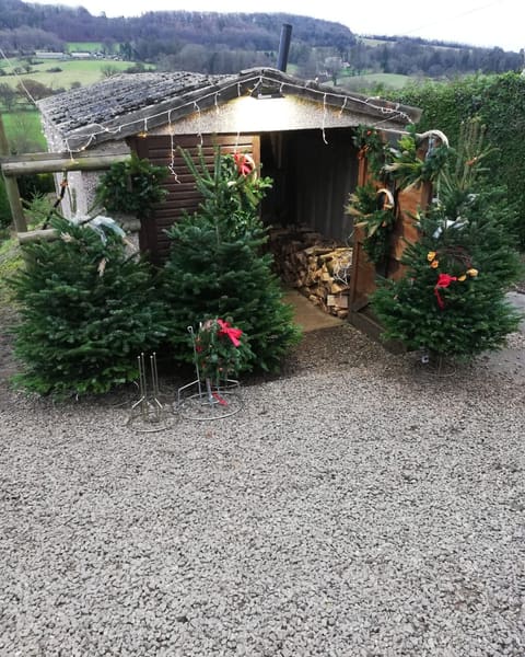 The Pitchcombe Fresh Christmas tree hut decorated with wreaths and lights, with the valley near Stroud behind