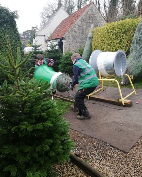 Netting a freshly cut Christmas tree on the netting machine at Pitchcombe Fresh near Stroud