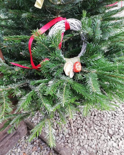 Close-up of a handmade Christmas wreath with ribbon and dried orange